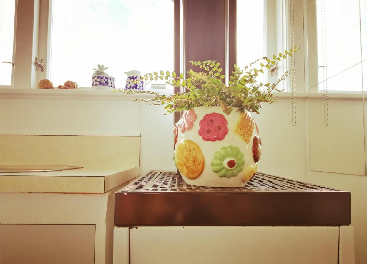Super Central Cosy Greytown House With Garage エクステリア 写真